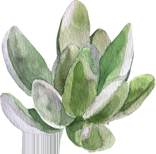 Home plant agave decorative watercolor indoor jungle